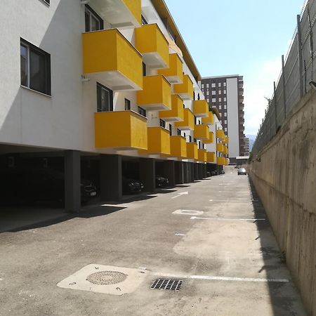 בראשוב Blue Apartment 1 מראה חיצוני תמונה